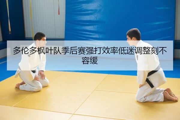 duo-lun-duo-feng-ye-dui-ji-hou-sai-qiang-da-xiao-lv-di-mi-tiao-zheng-ke-bu-rong-huan-2-644.jpg